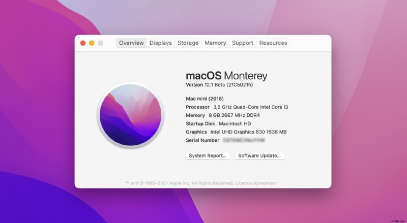 macOS Monterey 업데이트 후 손실된 파일을 복구하는 방법
