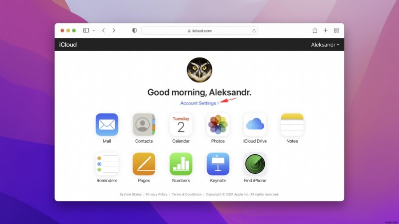 macOS Monterey 업데이트 후 손실된 파일을 복구하는 방법