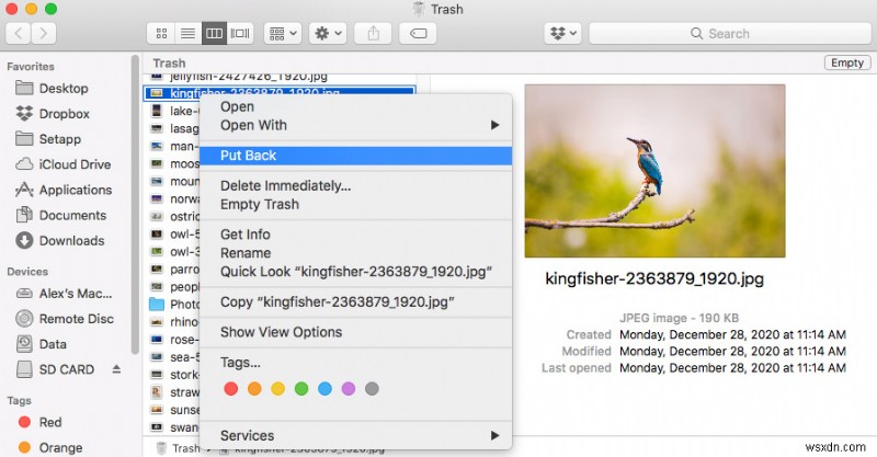Mac에서 영구 삭제된 사진을 복구하는 방법