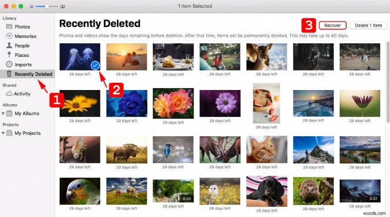 Mac에서 영구 삭제된 사진을 복구하는 방법