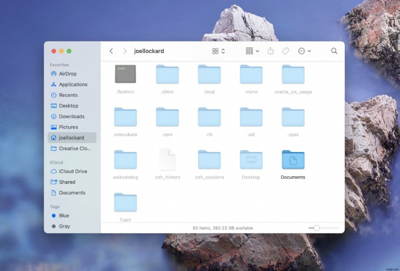 Mac에서 숨겨진 파일 및 폴더를 표시하는 방법 