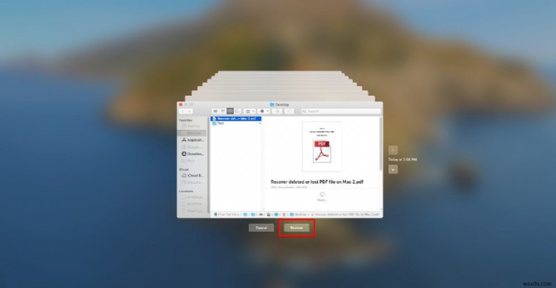 Mac에서 삭제, 손상 또는 저장되지 않은 PDF 파일을 복구하는 방법 