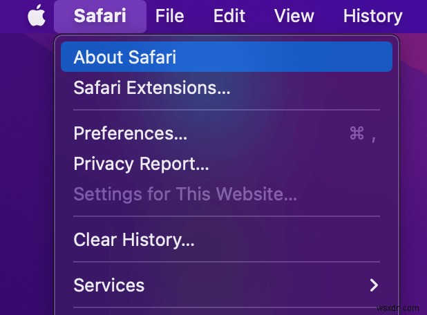 Mac에서 Safari가 멈추거나 계속 충돌하면 어떻게 해야 합니까?