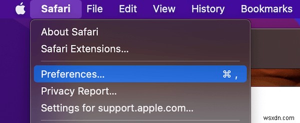 Mac에서 Safari가 멈추거나 계속 충돌하면 어떻게 해야 합니까?