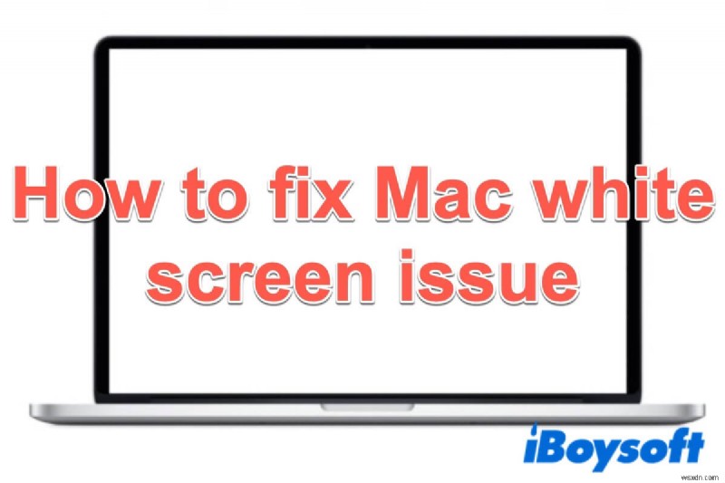 시작 시 Mac 흰색 화면을 수정하는 방법은 무엇입니까?