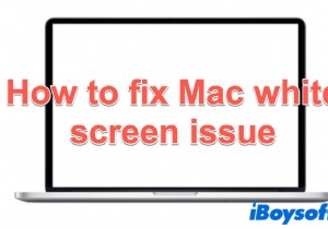 시작 시 Mac 흰색 화면을 수정하는 방법은 무엇입니까?