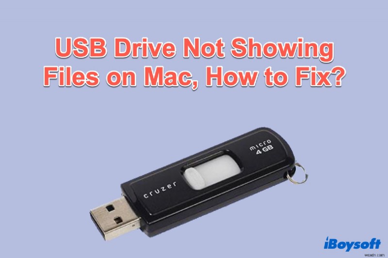 USB 드라이브 Mac에서 파일을 볼 수 없습니다. 해결 방법은 무엇입니까?