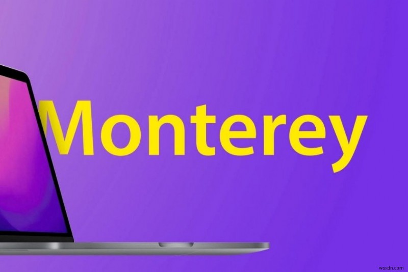 macOS Monterey 12.4 설치가 중단되었습니까? 다음 수정을 시도하십시오