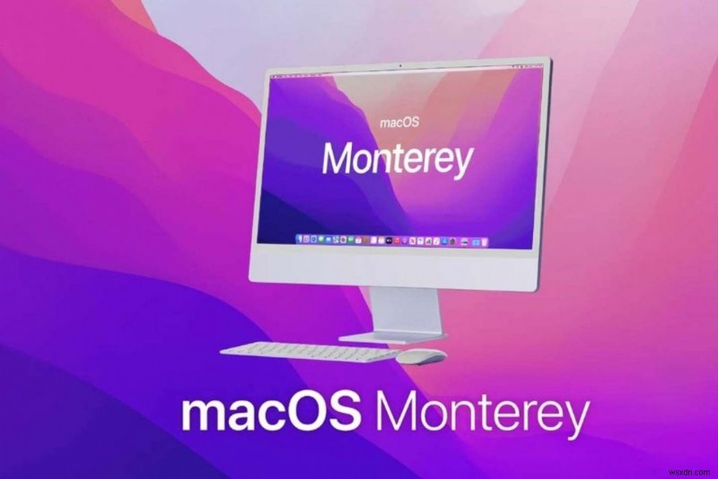Mac에 MacOS Monterey를 설치할 수 없습니까? 이 솔루션을 사용해 보십시오
