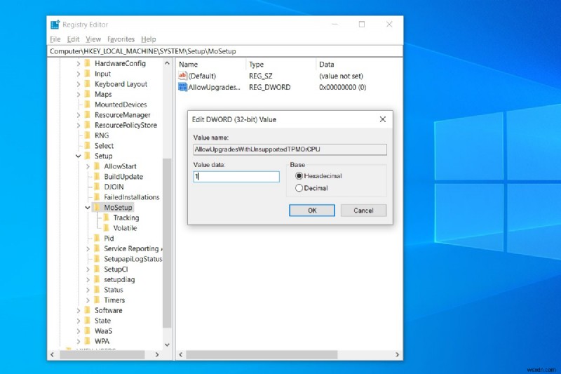 Windows 11에서 자동 업데이트를 중지하는 방법
