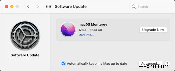 [수정됨] macOS Monterey에서 클립보드 허용 오류가 있는 조작 없음 
