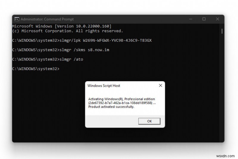[Fixed] Windows 11의 활성화 오류 0xc004c060