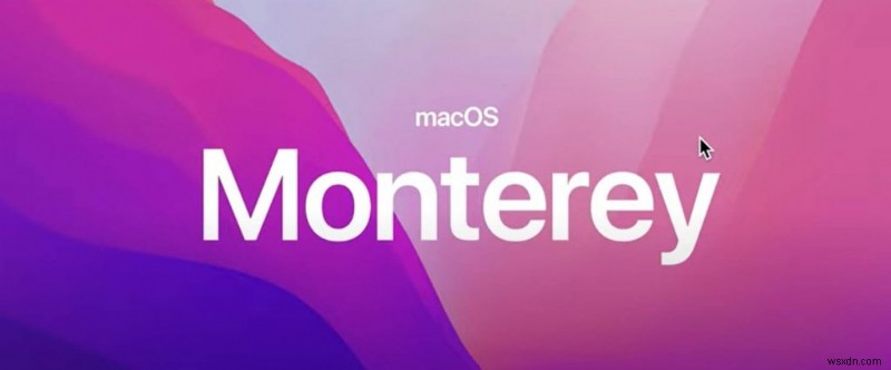 MacOS Monterey를 최적화하는 방법