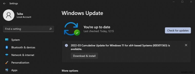 Windows 11에서 0xc00007b 오류를 수정하는 방법