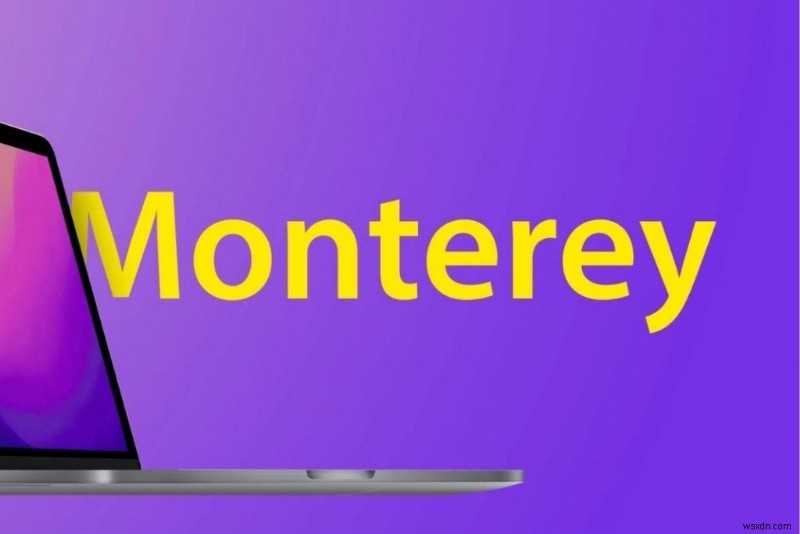 MacOS Monterey에서 관리자 계정을 찾을 수 없습니까? 이 수정을 시도하십시오