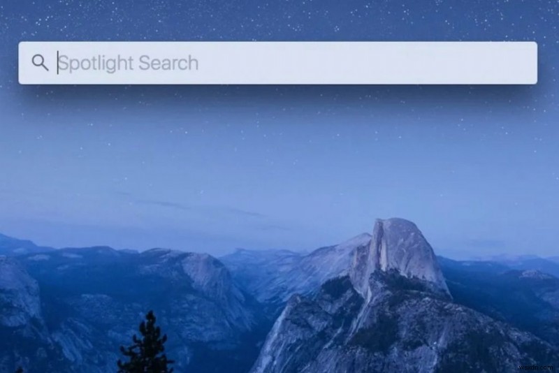 MacOS Monterey 업데이트 후 Spotlight 검색이 작동하지 않음