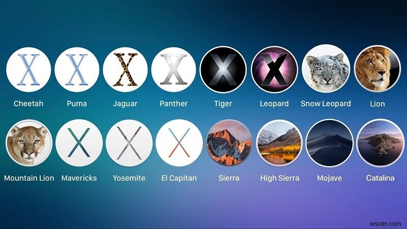 Mac OS X 및 macOS 버전에 대한 포괄적인 목록 