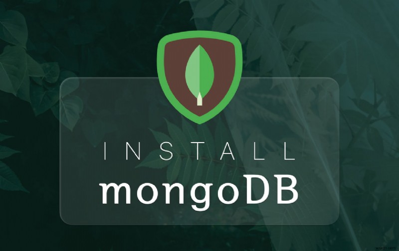 Mac에 MongoDB를 쉽고 빠르게 설치하는 방법 