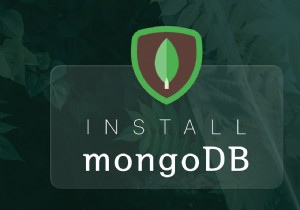 Mac에 MongoDB를 쉽고 빠르게 설치하는 방법 