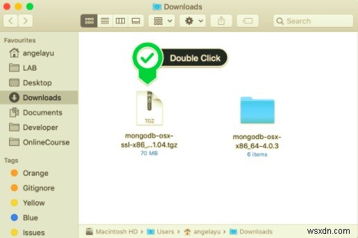 Mac에 MongoDB를 쉽고 빠르게 설치하는 방법 