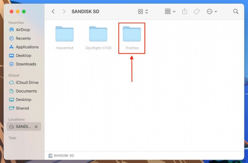 Mac의 SD 카드에서 삭제된 파일을 복구하는 방법 