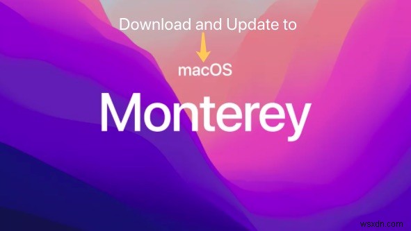 macOS Monterey를 다운로드하고 업데이트하는 방법은 무엇입니까?