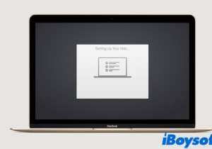 Mac 설정 시 Mac이 멈추는 문제를 해결하는 방법은 무엇입니까?