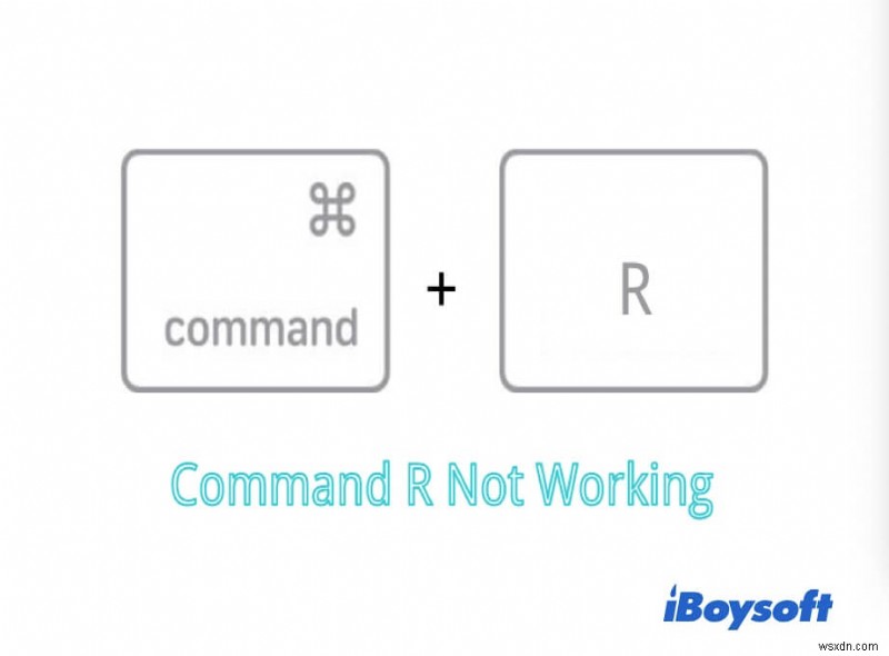 Command R이 작동하지 않습니다. Mac이 복구 모드로 들어가는 방법은 무엇입니까?