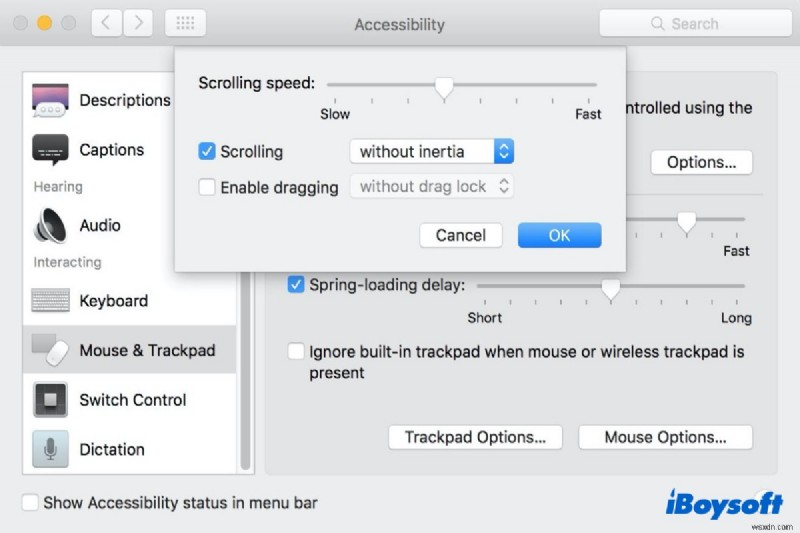 Apple Magic Mouse가 스크롤되지 않습니다. 해결 방법은 무엇입니까?