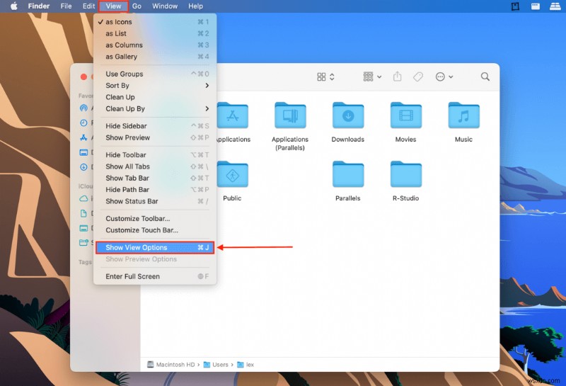 Mac에서 숨겨진 파일을 표시하는 방법:모든 방법 