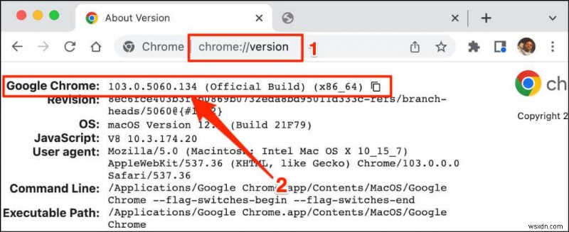 내 Chrome 버전은 무엇입니까?