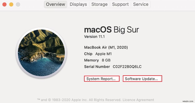 macOS Big Sur 문제 수정 