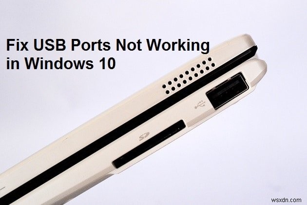 Windows 10에서 USB 포트가 작동하지 않음 [해결됨] 