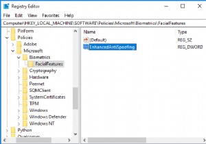 Windows Hello 얼굴 인증에 대해 향상된 스푸핑 방지 활성화 