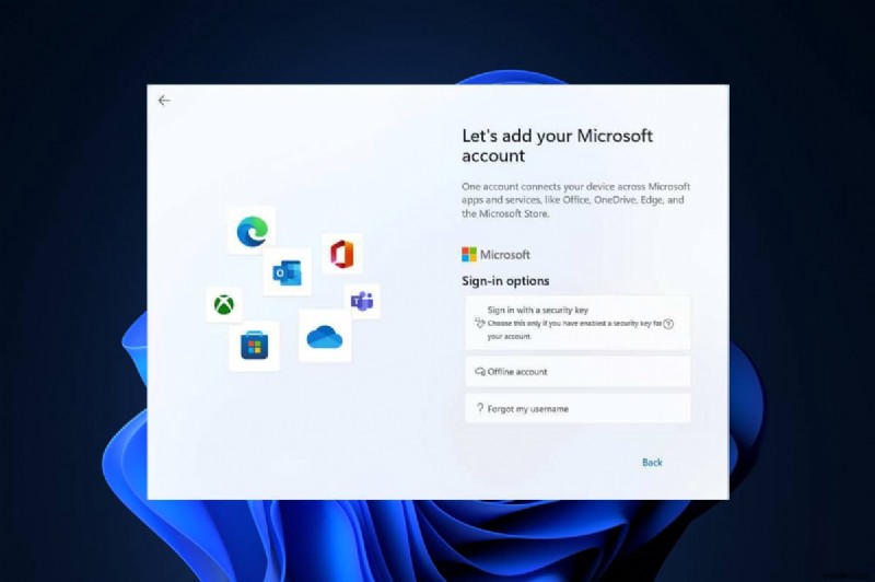 Windows 11에서 로컬 계정을 만드는 방법 