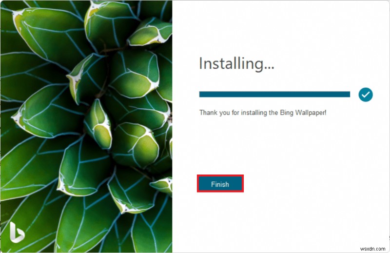 Windows 11용 Bing 배경화면 다운로드 및 설치 방법