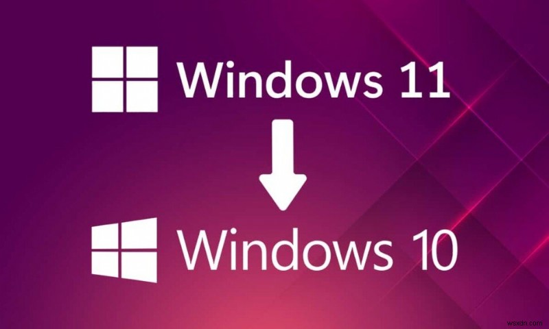 Windows 11에서 Windows 10으로 다운그레이드하는 방법 