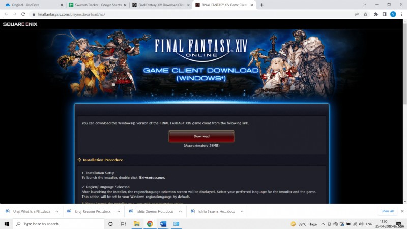 Windows 10에서 FFXIV 오류 90002 수정 