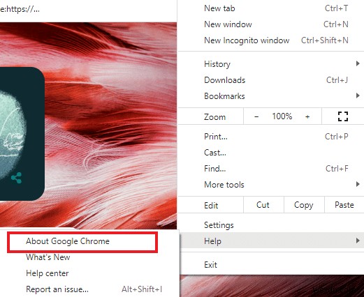 Windows 10에서 Chrome이 비밀번호를 저장하지 않는 문제 수정