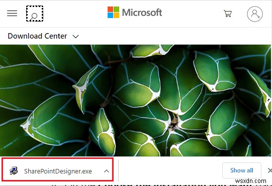 Microsoft Office Picture Manager 다운로드 방법