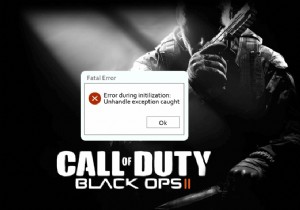 CoD Black Ops 2 처리되지 않은 예외 포착 오류 수정