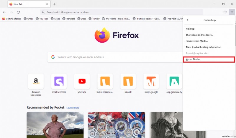 Firefox용 플러그인 컨테이너가 작동하지 않는 문제 수정 