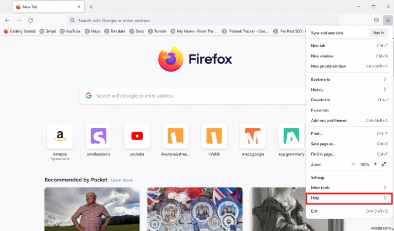 Firefox용 플러그인 컨테이너가 작동하지 않는 문제 수정 