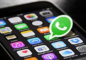 Android에서 WhatsApp 통화가 울리지 않는 문제 수정