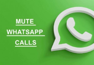 Android에서 Whatsapp 통화를 음소거하는 방법은 무엇입니까?