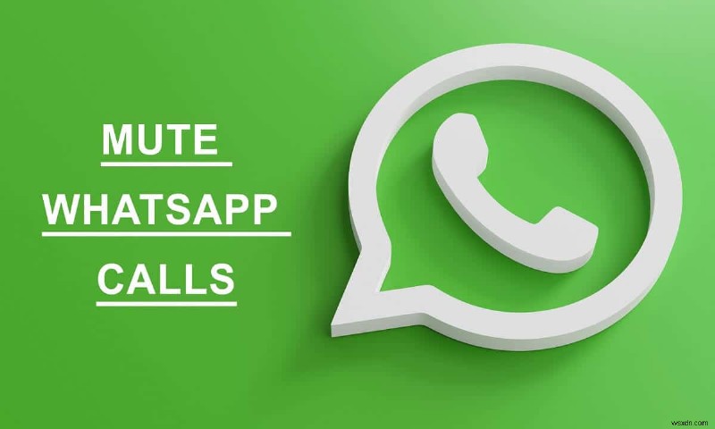 Android에서 Whatsapp 통화를 음소거하는 방법은 무엇입니까?