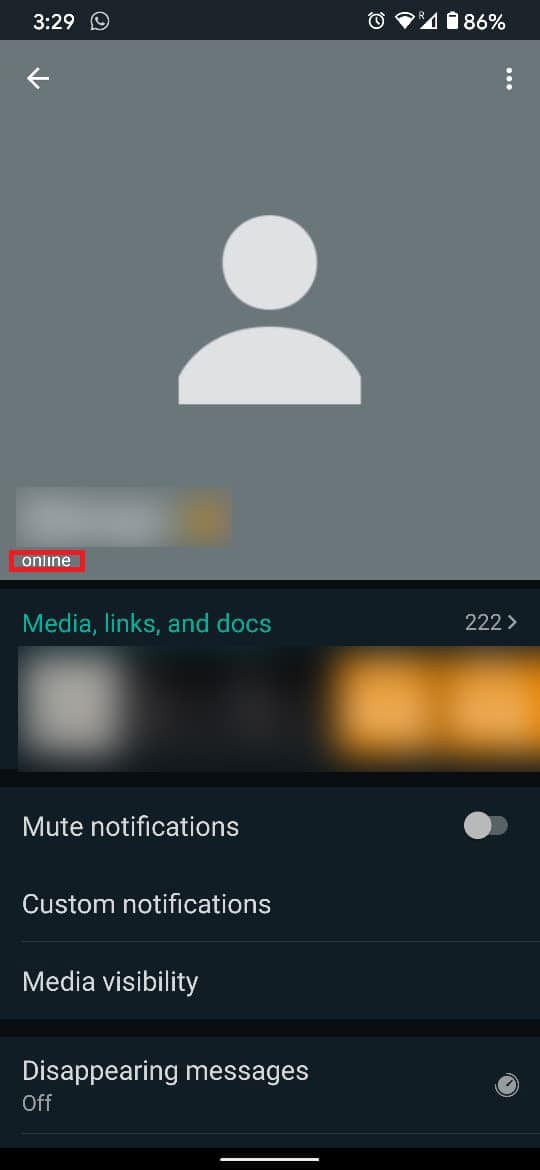 온라인에 접속하지 않고 Whatsapp에서 누군가가 온라인 상태인지 확인하는 방법