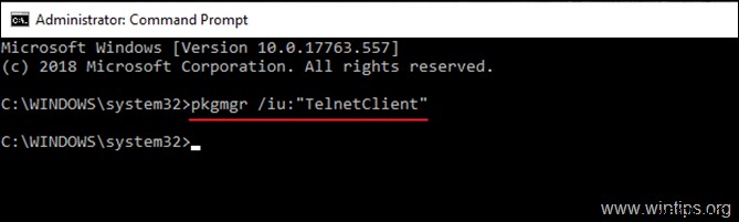Windows 10에서 Telnet 클라이언트를 활성화하는 방법.