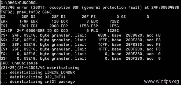 FIX:Windows 10의 DOS/4G 오류 2001 예외 0Dh(해결됨)