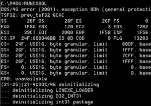 Windows 10에서 DOS/4G 오류(2001)  예외 0Dh  완벽 해결 가이드
